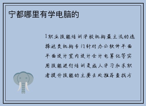 宁都哪里有学电脑的